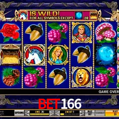 bet166 Rio de Janeiro - Bonus Terms